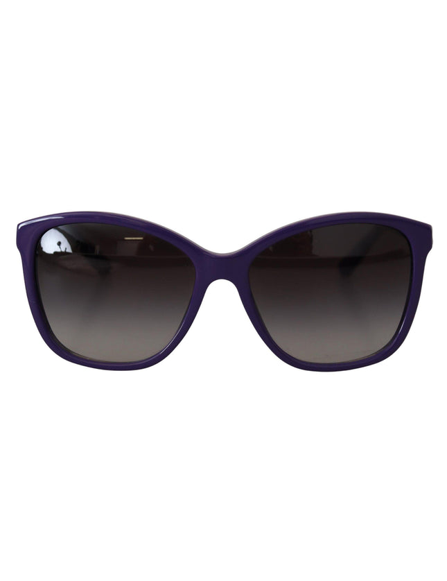 Dolce & Gabbana Violet Acetate Frame Round Shades DG4170M Sunglasses - Ellie Belle