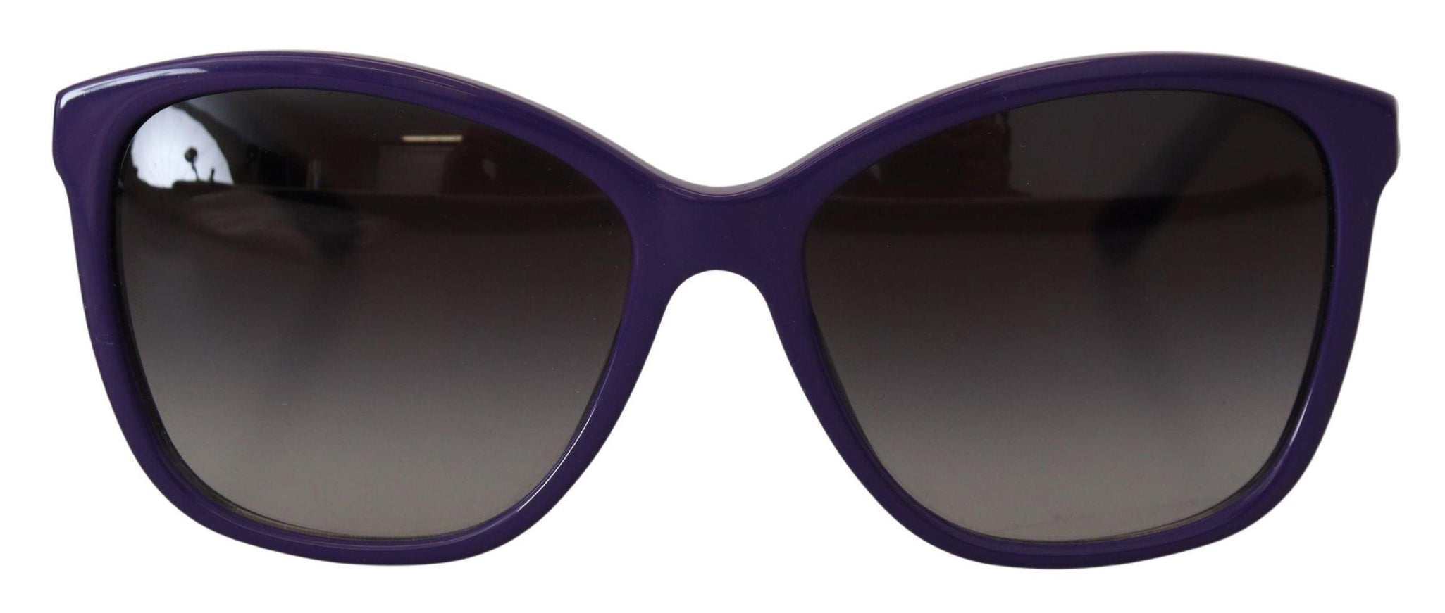 Dolce & Gabbana Violet Acetate Frame Round Shades DG4170M Sunglasses - Ellie Belle