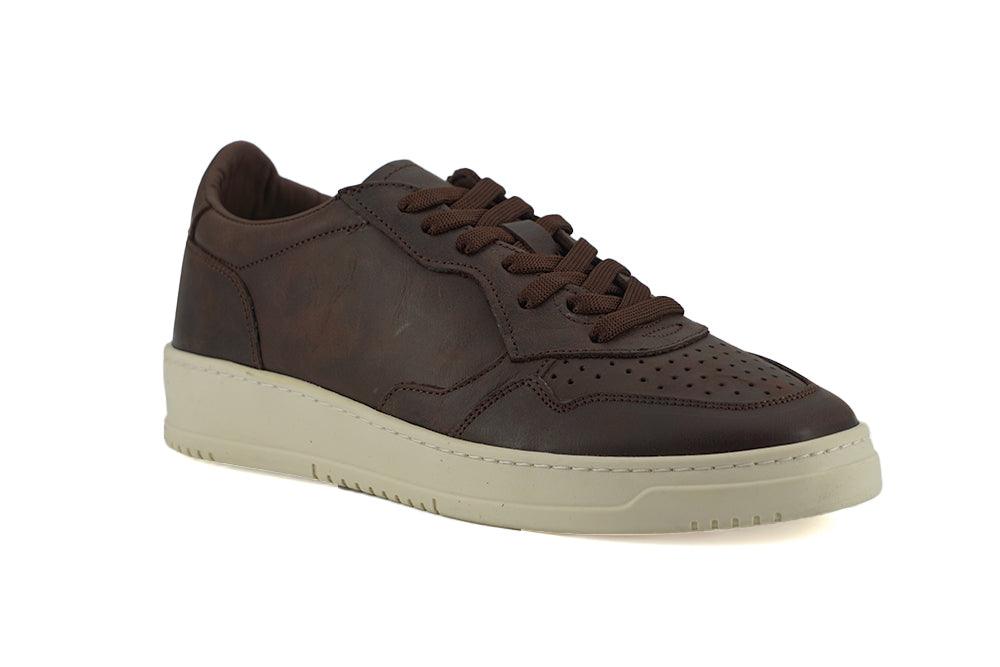 Saxone of Scotland Brown Leather Low Top Sneakers - Ellie Belle